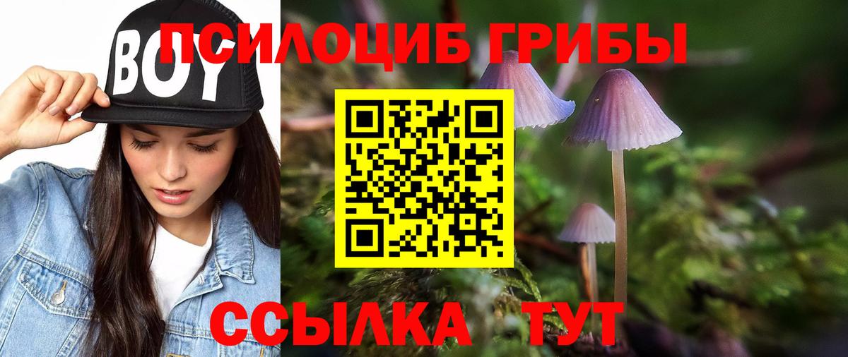 Псилоцибиновые грибы GOLDEN TEACHER Обь